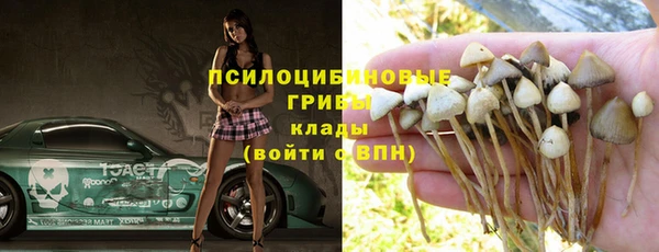 гидра Балабаново
