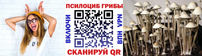 Псилоцибиновые грибы мухоморы  Иннополис 